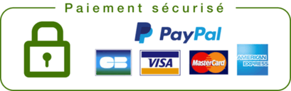 Formations Copywriting 7 paiement securise grande 3765de50 b3f4 45b2 8f23 4fbc4e5ed76b large